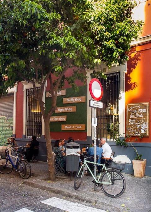 Cozy In A Typical Sevillian Patio House