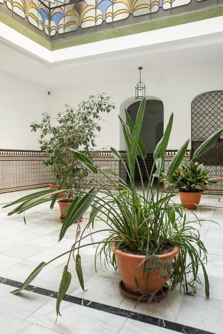 Cozy In A Typical Sevillian Patio House * Seville