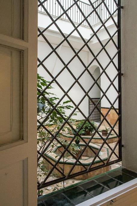 Cozy In A Typical Sevillian Patio House Apartment *