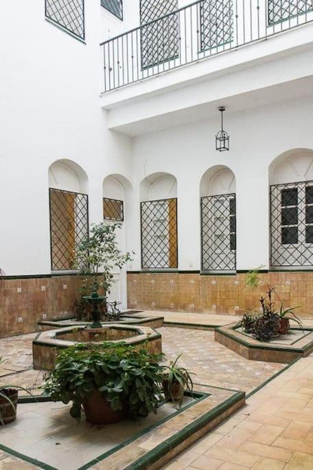 Cozy In A Typical Sevillian Patio House Appartement *